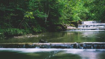 Enter  Into the Current That Is Your Home (Blog)