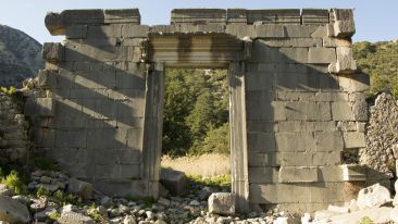Enter The Narrow Gate (Blog)