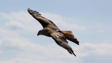 Being Whole and Free (Blog)