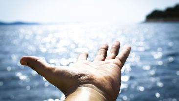 Persist with Your Wish to Know the Perfection of Your True Self (Blog)