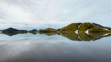 The Perfect Pitch of Stillness (Blog)