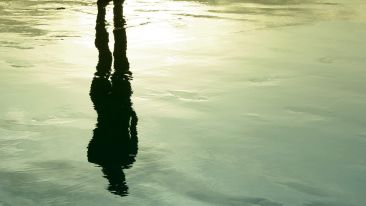 Realize the Self Beyond Seeking (Blog)