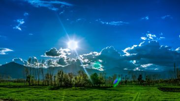 A Tale of Two Natures (Blog)