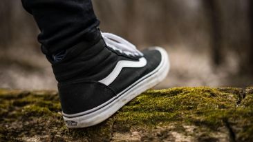 Step Onto the Pathless Path (Blog)