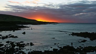 The Distant Shore Within (Blog)
