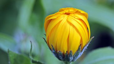 Only what is Real can change... (Blog)