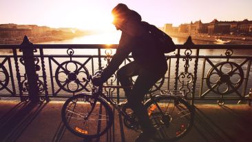 Using the Great Cycles of Life Inherent in Self Transformation (Blog)