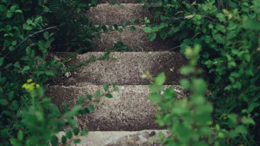 The Poverty and the Paradox of the Aspirant: Stepping Into the Unknown (Blog)