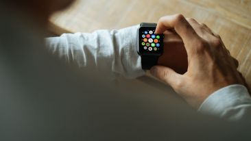 Realize the Timeless Self (Blog)