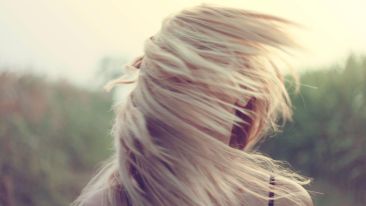 Stop Being Carried Off By Every Breeze (Blog)