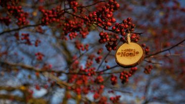 Short Commentary on Christmas Day: A Sign of the Birth of Christ Within You (Blog)