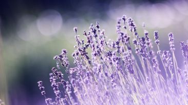 A Simple Exercise to Help You Feel Better (Blog)
