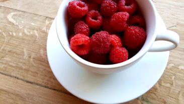 Food for Thought (Blog)
