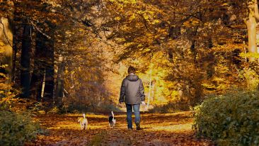 Walk Away From Painful Patterns