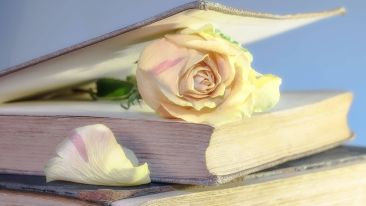 Share in the Whole Story of Your True Self