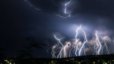 Allow Life's Shocks to Teach You