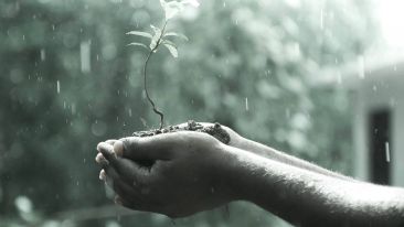 Stop Hurting and Start Healing (Student Talks)