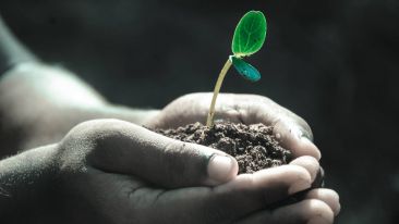 Let Love Give You Life (Student Talks)