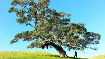 'Respect the Balance' of Life and Be Released