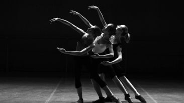 The Flowering of Talent