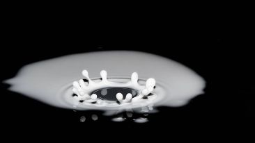 Five Ways You Leak What You Need to Keep