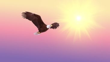 Being Fearless and Free