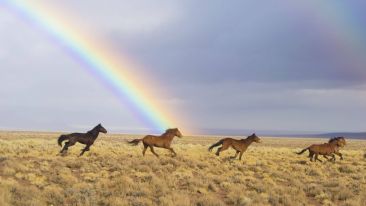 Notes on the Nature of True Freedom
