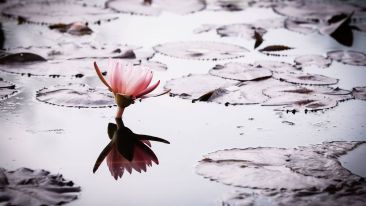 Turn Any Mistake Into True Wealth (Interview #1)