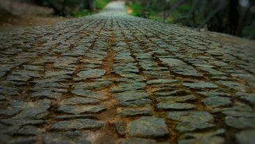 Stay Off the Road That Leads to Misery! (Student Talks)