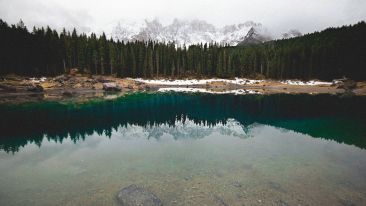 Silence is Perfect Reflection