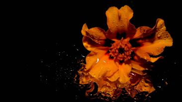 Some Spiritual Facts About Sexual Energy