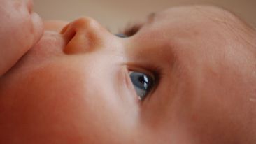 See What God Wants to Give Birth to in You