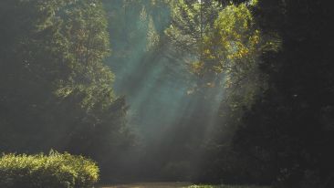 The Path to Self-Perfection