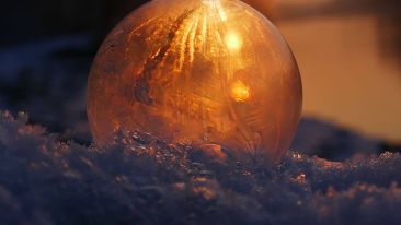 How Willingness Leads to Wholeness