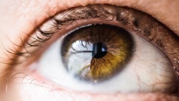 The Secret of the 'Single Eye'
