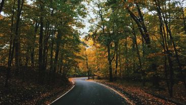Take the Inner Road to Immortality