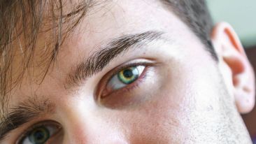 Being the Seeing Mind
