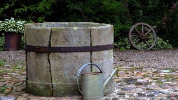 Drink From the Well of Life