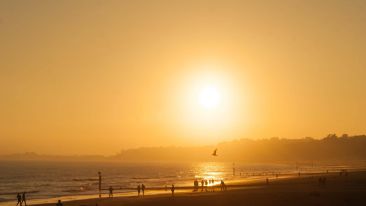 Make the Most of Your Day