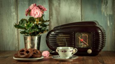 Interview hosted by Lisa Davis