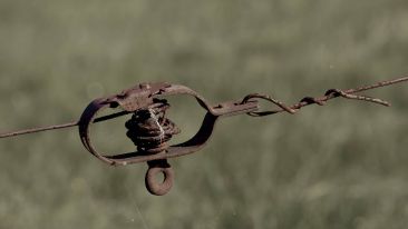 Uncover the Truth About Painful Tension