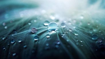 Living in Wholeness
