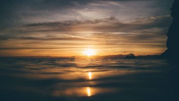 The Purpose of Life