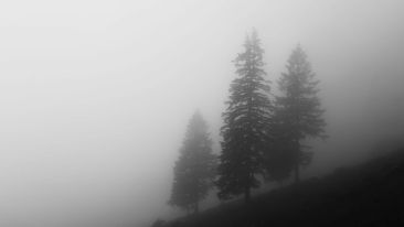 Silence is the Answer