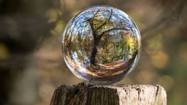 Begin the Practice of Being Whole