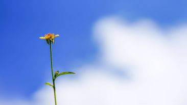 Move with the Speed of Your Spiritual Seed