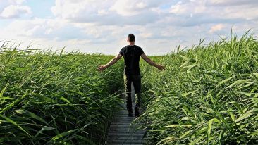 The Courage to Make the Great Exchange