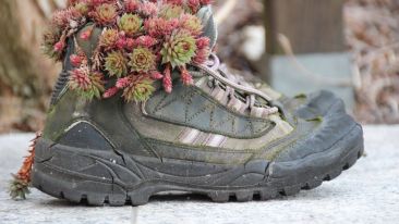 Student Reports on the 'Walk Out of the Wilderness' Exercise