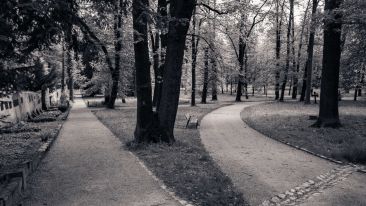 A Single Action Guaranteed to Make Every Decision Profitable