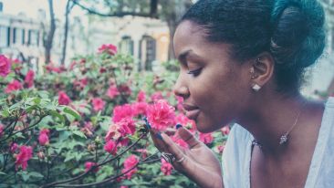 Gratitude for the Truth